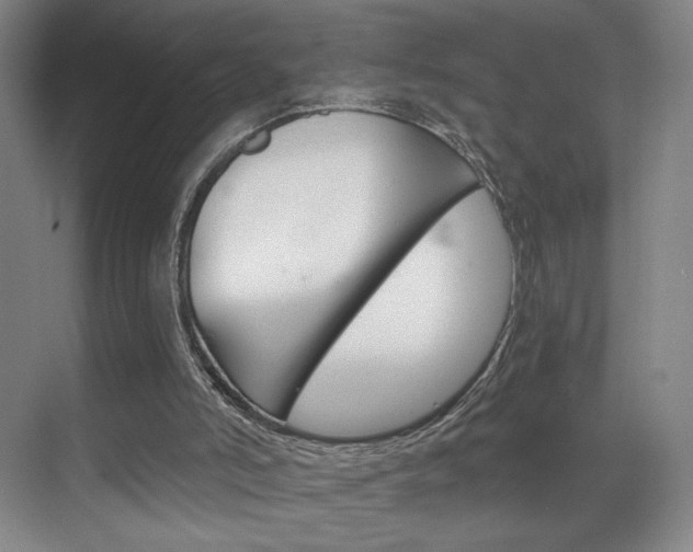 X0000070860006200606161022