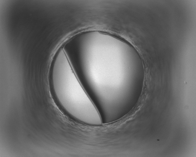 X0000070860007200606161022