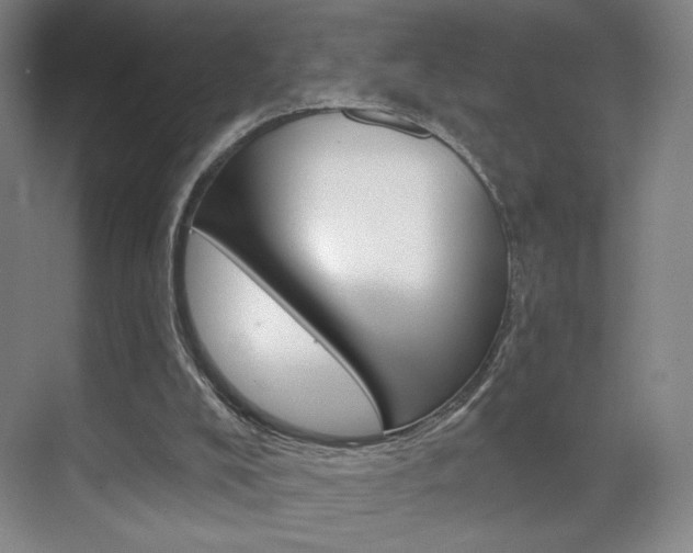 X0000070860008200606161022