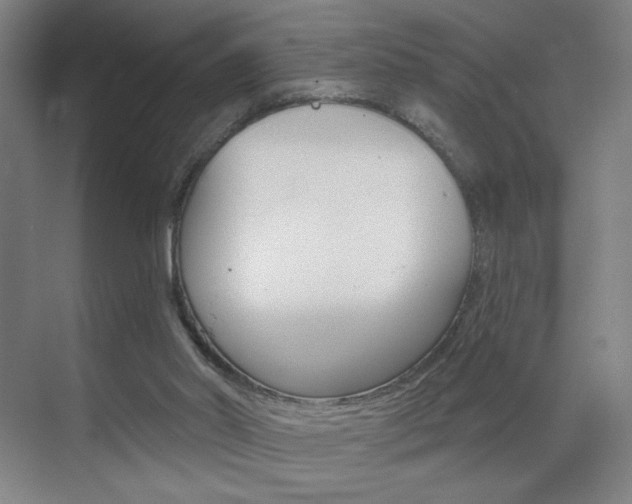 X0000070860014200606161022