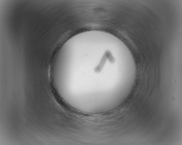X0000070860024200606161022
