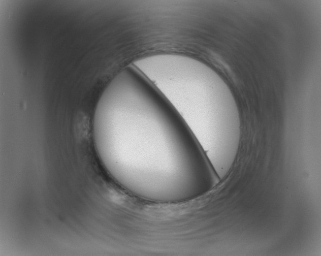 X0000070860025200606161022