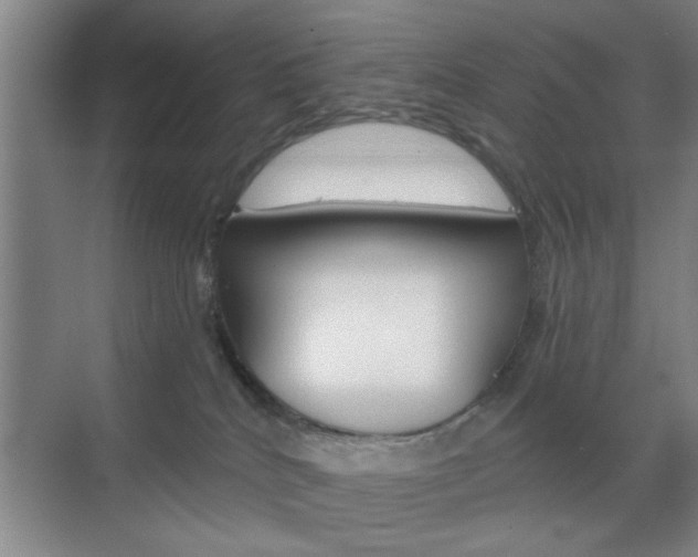 X0000070860040200606161022