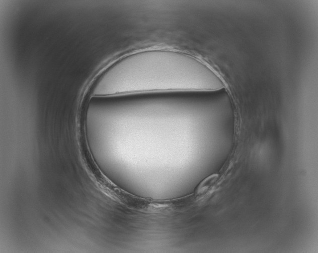 X0000070860055200606161021