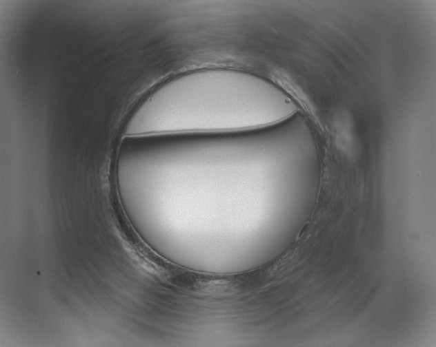 X0000070860058200606161021