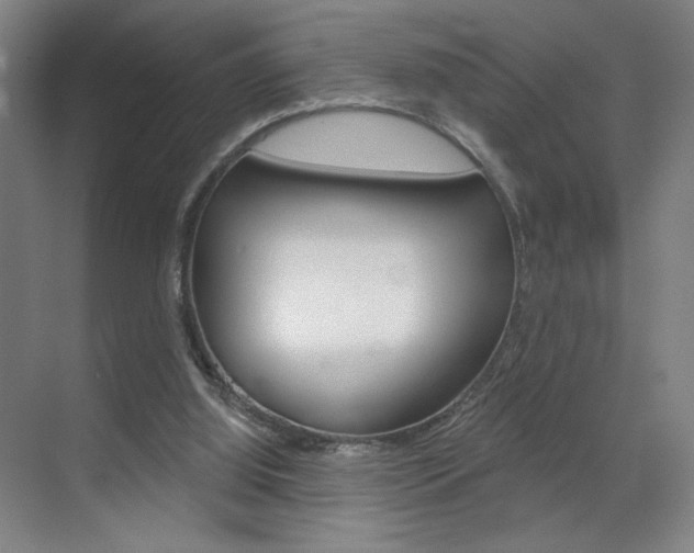 X0000070860060200606161021