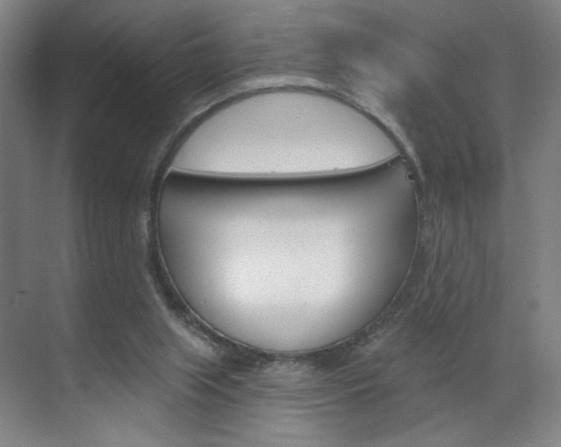 X0000070860063200606161021