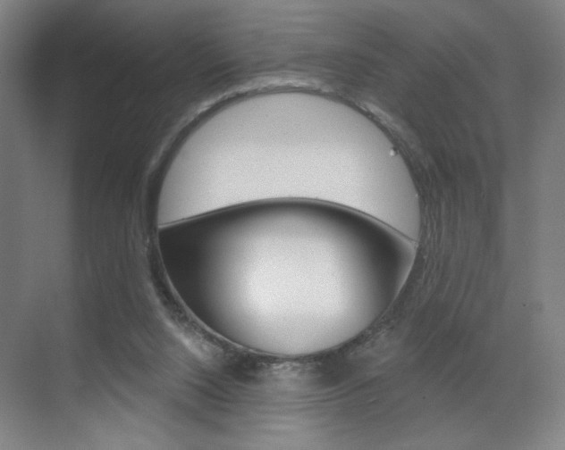 X0000070860064200606161021