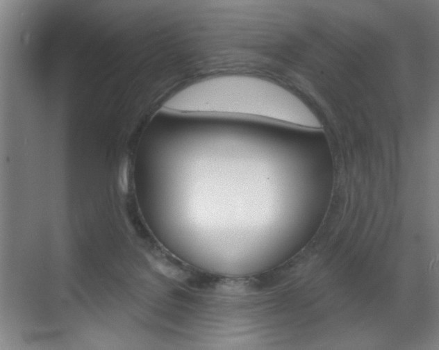 X0000070860076200606161021