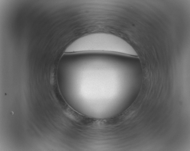 X0000070860080200606161021