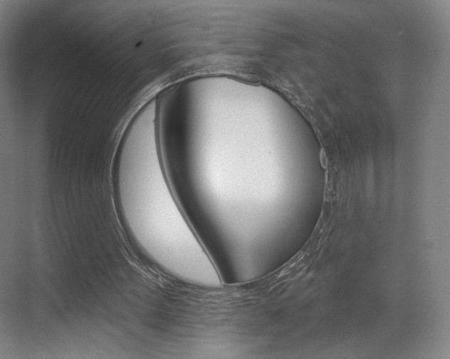 X0000070860099200606161021