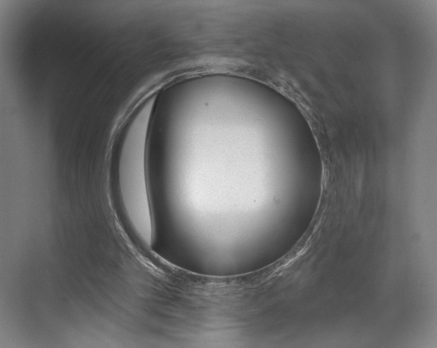 X0000070860101200606161021