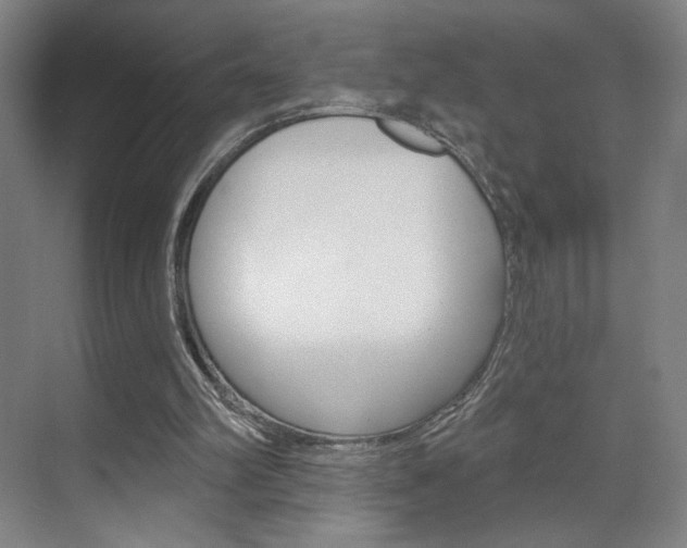 X0000070860102200606161021
