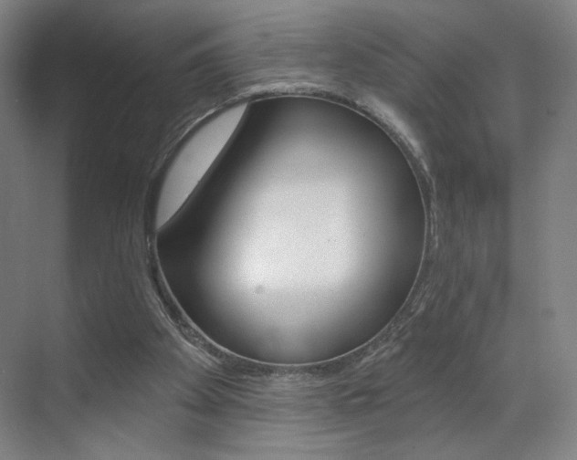 X0000070860105200606161021