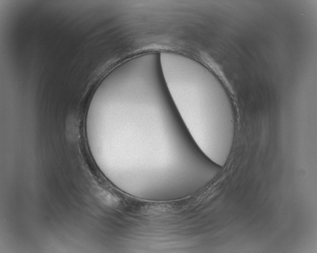 X0000070860106200606161021