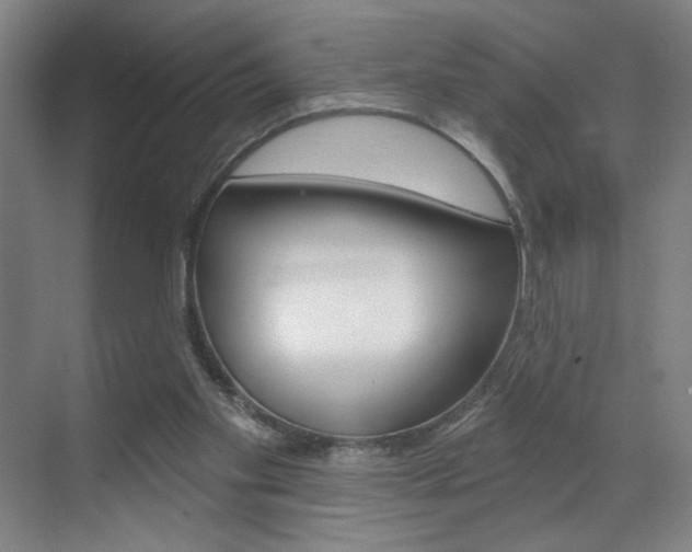 X0000070860109200606161021
