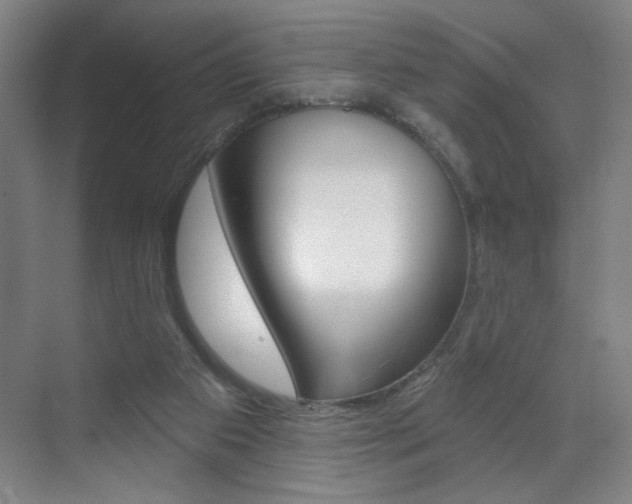 X0000070860113200606161021