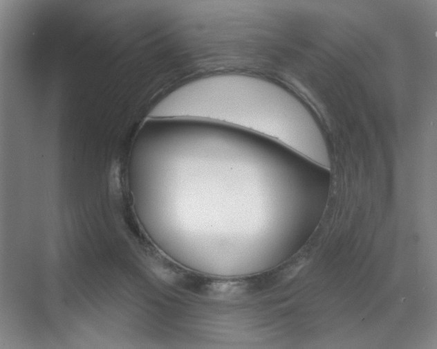 X0000070860117200606161020