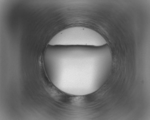X0000070860122200606161020
