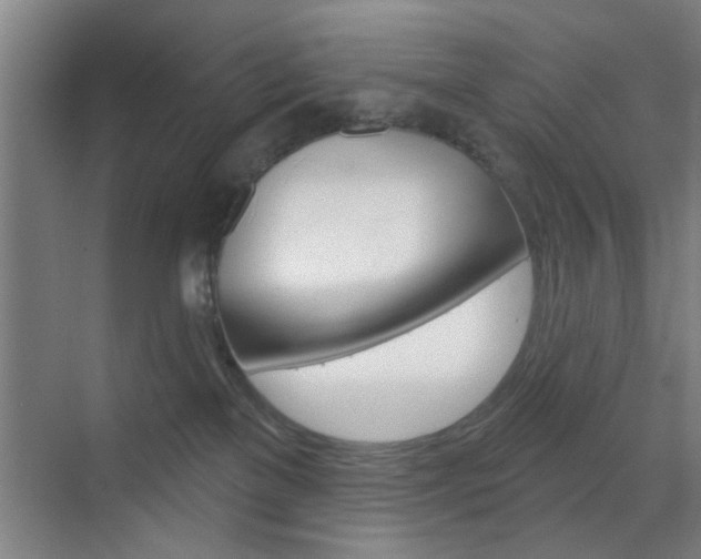 X0000070860137200606161020