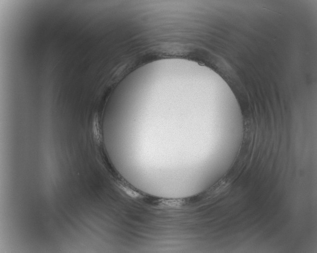 X0000070860143200606161020