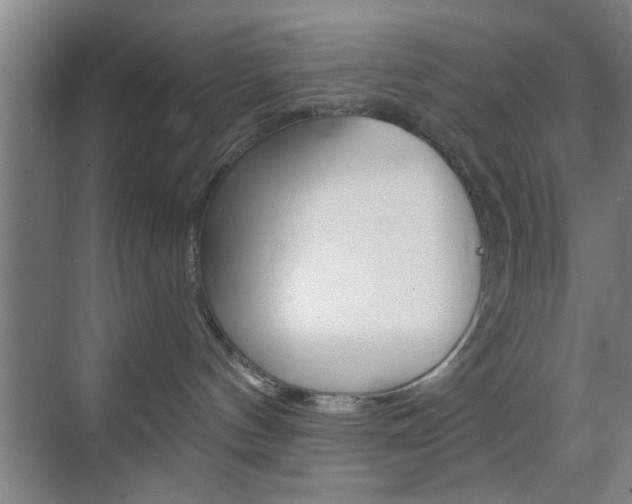 X0000070860144200606161020