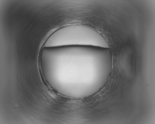 X0000070860147200606161019