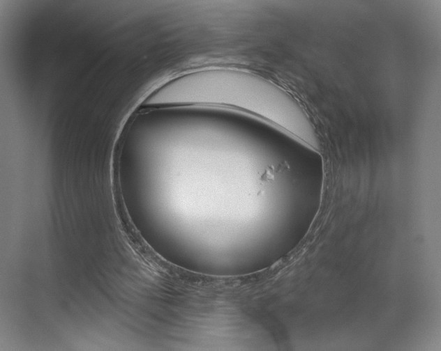 X0000070860148200606161019