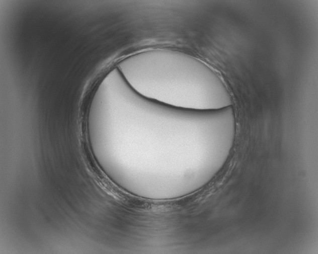 X0000070860149200606161019