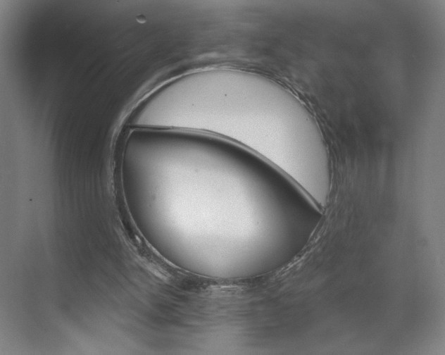 X0000070860150200606161019