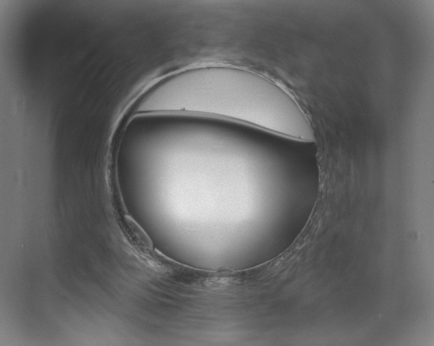 X0000070860152200606161019