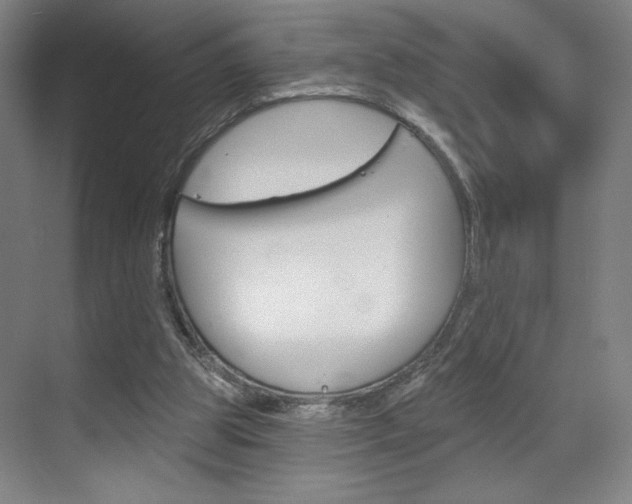 X0000070860153200606161019