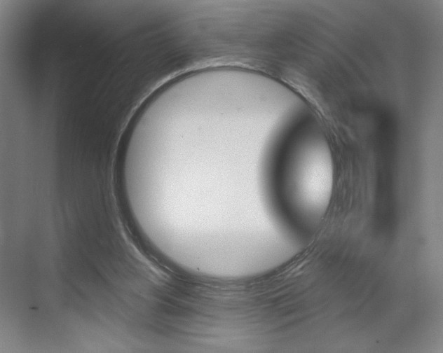 X0000070860156200606161019