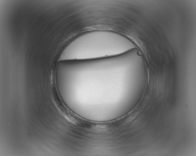 X0000070860157200606161019