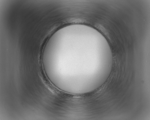 X0000070860159200606161019