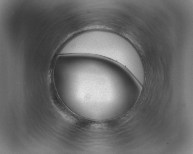 X0000070860160200606161019