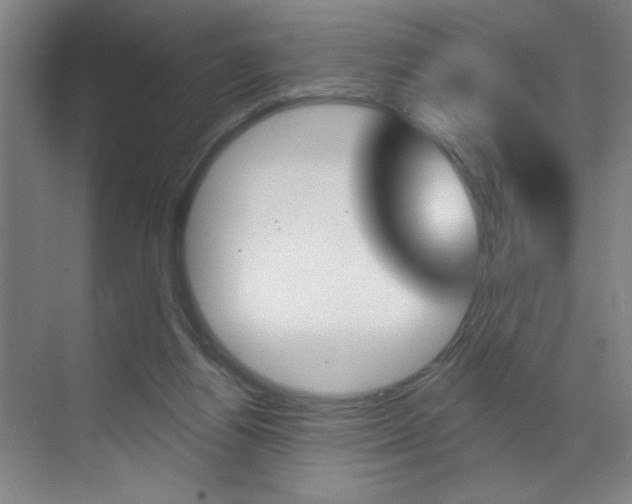 X0000070860164200606161020