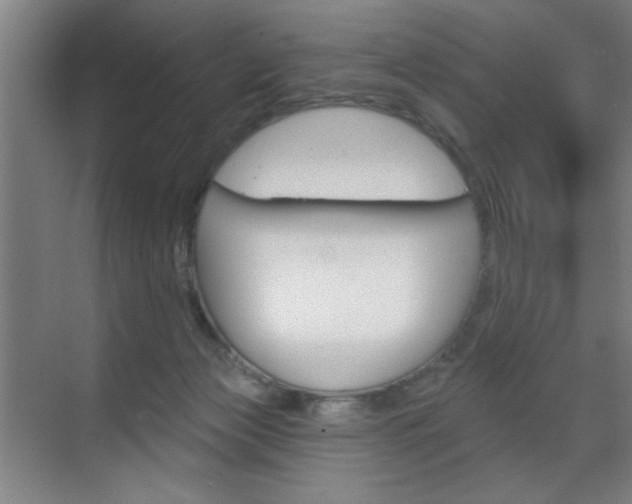 X0000070860173200606161020
