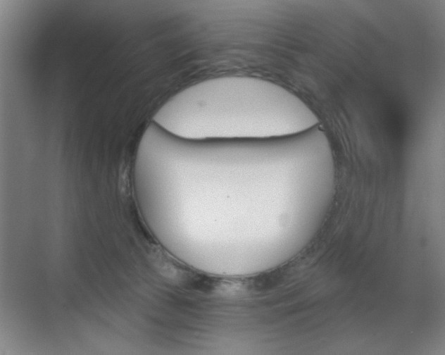 X0000070860177200606161020