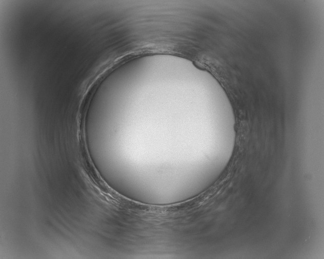 X0000070860194200606161019