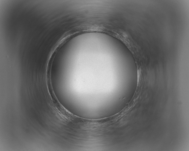 X0000070860195200606161019