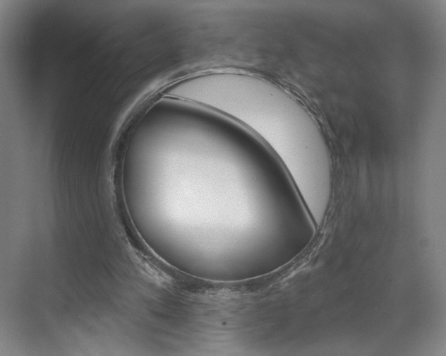X0000070860197200606161019