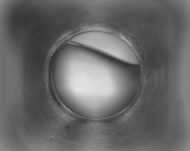 X0000070860199200606161019