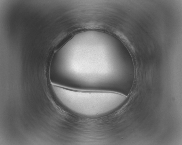 X0000070860201200606161019