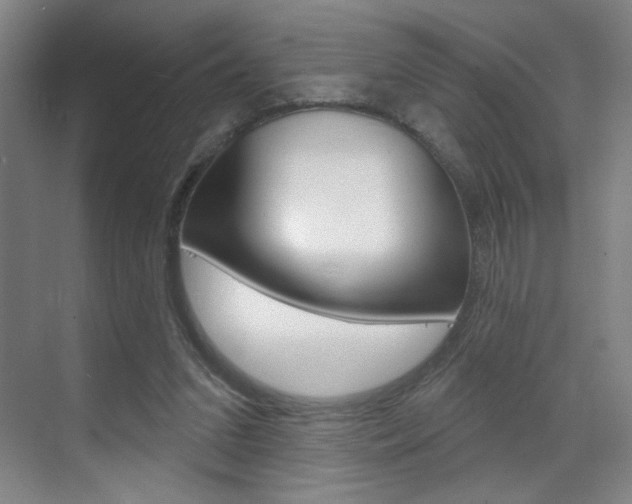 X0000070860207200606161019