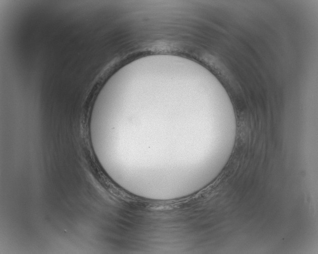 X0000070860208200606161019