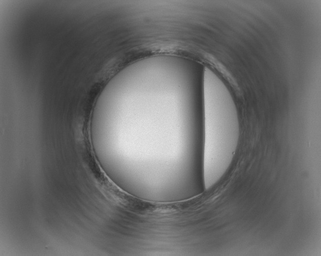 X0000070860209200606161019