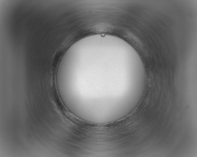 X0000070860210200606161019