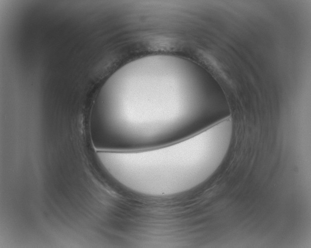 X0000070860211200606161019