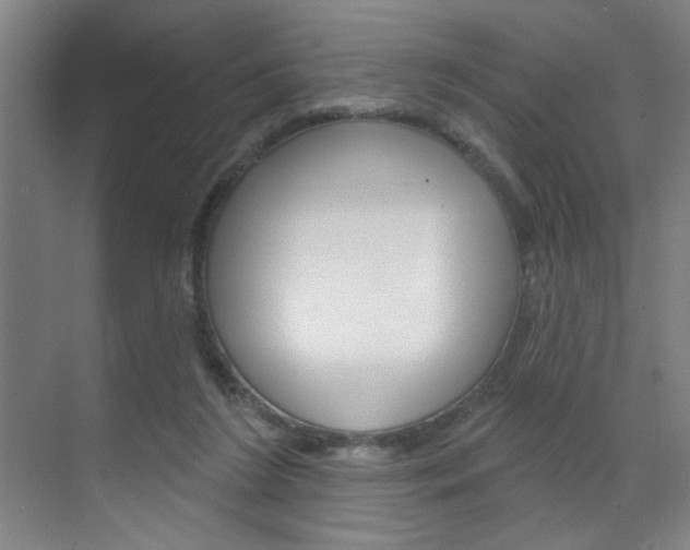 X0000070860212200606161019
